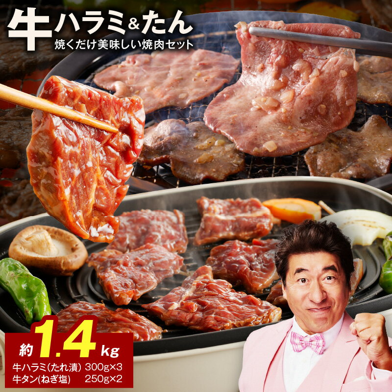 【ふるさと納税】大人気 ファミリー向け 焼肉セット 牛たん 牛ハラミ肉 総量1.4kg 大阪府 泉佐野市 送料無料 肉の泉佐野