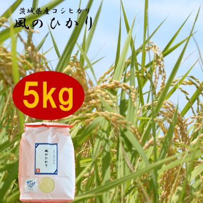 ふるさと納税 かすみがうら市 茨城県産コシヒカリ風のひかり5kg | 