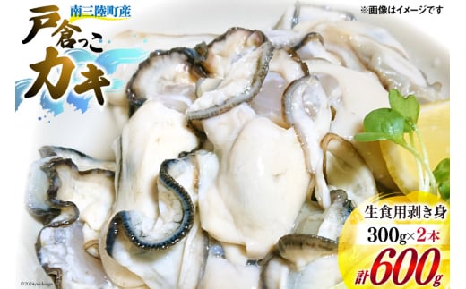 【期間限定発送】 牡蠣 生食 南三陸町産 戸倉っこカキ 300g×2本 計600g [宮城県漁業協同組合志津川支所 宮城県 南三陸町 30an0002] 生カキ 生食用 剥き身 かき カキ 生ガキ むき身 むき
