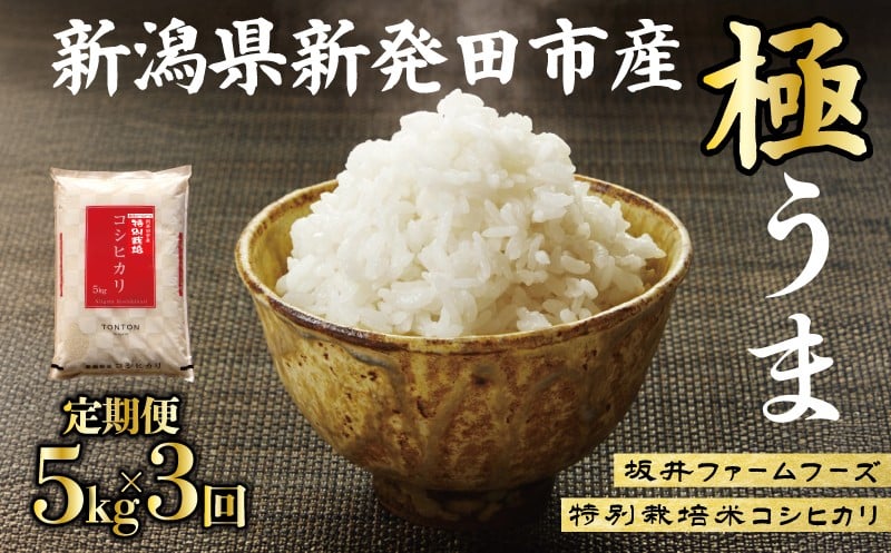 
                  【 定期便3回 】 令和7年産 コシヒカリ 定期便 15kg 全3回 5kg×3回 3ヶ月 こしひかり 精米 コメ お米 こめ ライス 白米 ご飯 ごはん R7米 R7 令和7年 7年産 令和7年産米 kome 2025 国産 新潟県産 特別栽培米 産地直送 新潟県 新発田市 とんとん市場 D72_02
                