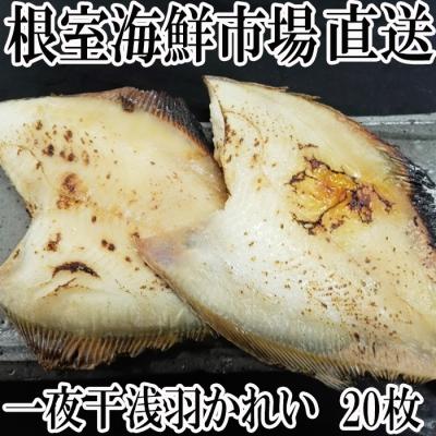 ふるさと納税 根室市 【北海道根室産】一夜干し浅羽かれい20枚 A-14063