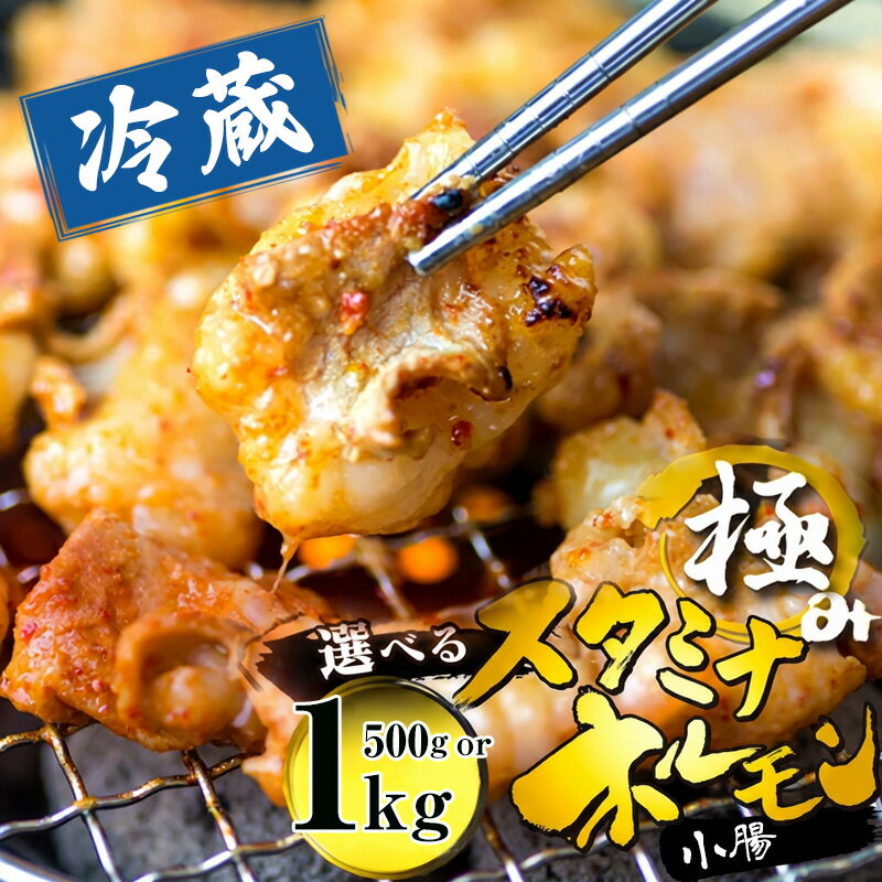 【ふるさと納税】牛ホルモン 小腸 味付け 500g / 1kg（250g小分け）タレ揉み 焼肉用 国産牛 京都府舞鶴市