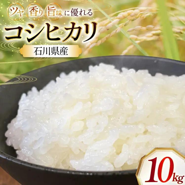 米 令和7年 石川県産 コシヒカリ 10kg 1袋