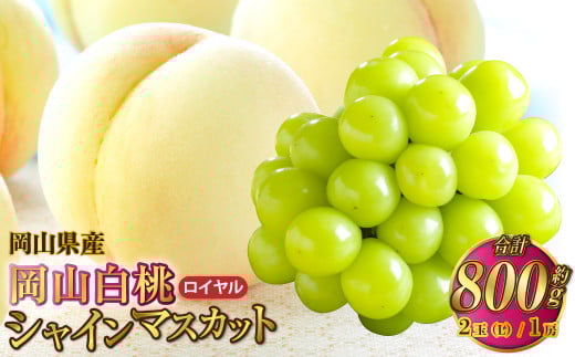 岡山県産 岡山白桃 ロイヤル Lサイズ 約200g×2玉・シャインマスカット 晴王 約400g×1房 詰合せ 【2025年7月上旬～8月下旬発送予定】 白桃 桃 もも モモ マスカット ぶどう 葡萄 ブドウ セット