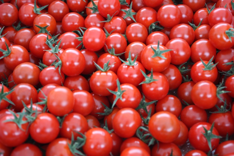 愛情たっぷり育てられた極糖トマト　うふふの実 1kg