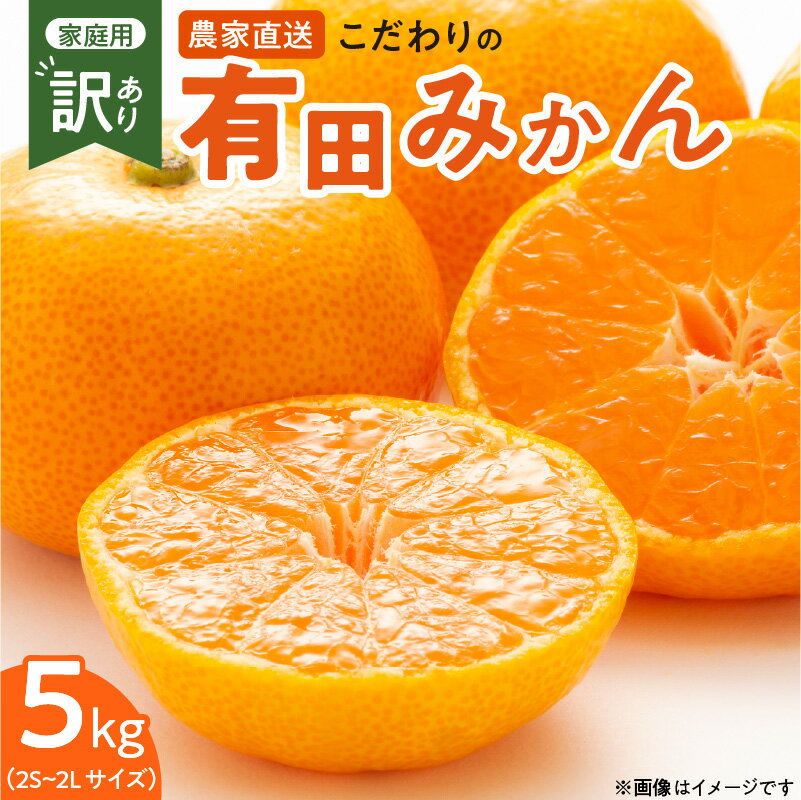 【ふるさと納税】【2025年先行予約】【限定】 【TVで紹介されました】こだわりの 有田みかん 【訳あり 家庭用】 5kg 藤秀園 和歌山 有田 温州みかん みかん 送料無料