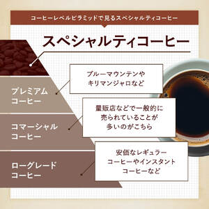 コーヒー ロクメイブレンド・サルサワブレンド 各1kg 【豆】 コーヒー豆 G-102