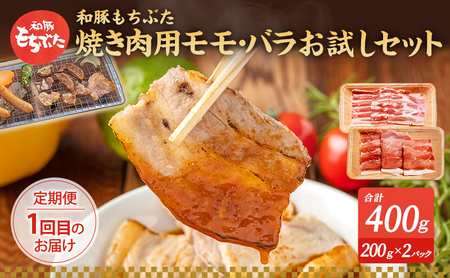 【定期便3回】和豚 もちぶた お試しセット 3ヶ月連続 ソーセージ 角煮 豚肉