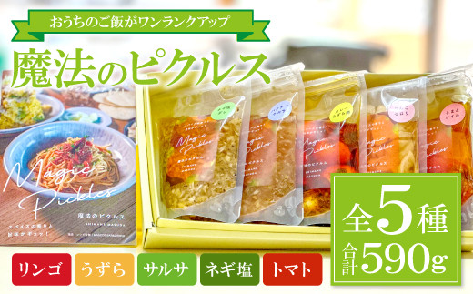 A-980 Magic Pickles　－魔法のピクルスー