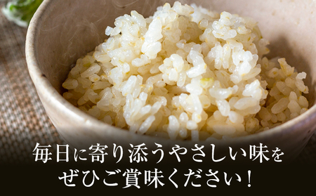 熊本県菊池産 ヒノヒカリ 5kg×4袋 計20kg 5分づき米 お米 分づき米《30日以内に出荷予定（土日祝除く）》