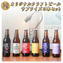 【ふるさと納税】オリジナルクラフトビールサプライズ6本セット《 おすすめ 酒 プレゼント クラフトビール ビールセット ビールギフト 飲み比べ 詰め合わせ お取り寄せ グルメ 送料無料 贈答用 ギフト プレゼント 贈り物 》