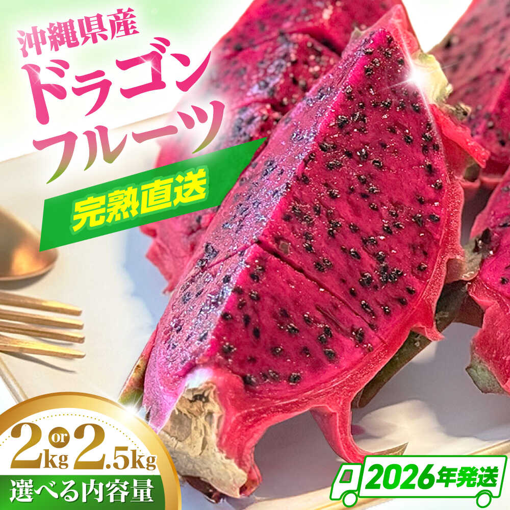【ふるさと納税】【2026年発送】【選べる内容量】農家直送！南国の果物 ドラゴンフルーツ 2kg or 2.5kg 火龍果 果物 フルーツ デザート お取り寄せ 沖縄市 / タカエス フルーツ＆ベジタブル [BCBH002]