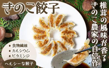 本格手焼き!炭火焼鶏(500g×4P)&きのこ餃子セット_MJ-1424_(都城市) 鶏肉 炭火焼き 小分け おつまみ 宮崎 餃子 きのこ 冷凍 柚子胡椒