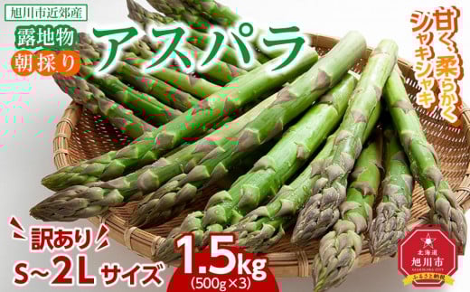 【2025年発送先行予約】【訳あり】露地物朝採りアスパラ 1.5kg（500g×3）鮮度保持フィルム入り(2025年5月中旬発送予定) 【 アスパラ アスパラガス 朝採り とれたて 野菜 旬 小分け 保存 産直 産地直送 お取り寄せ 旭川市 北海道 】_01589