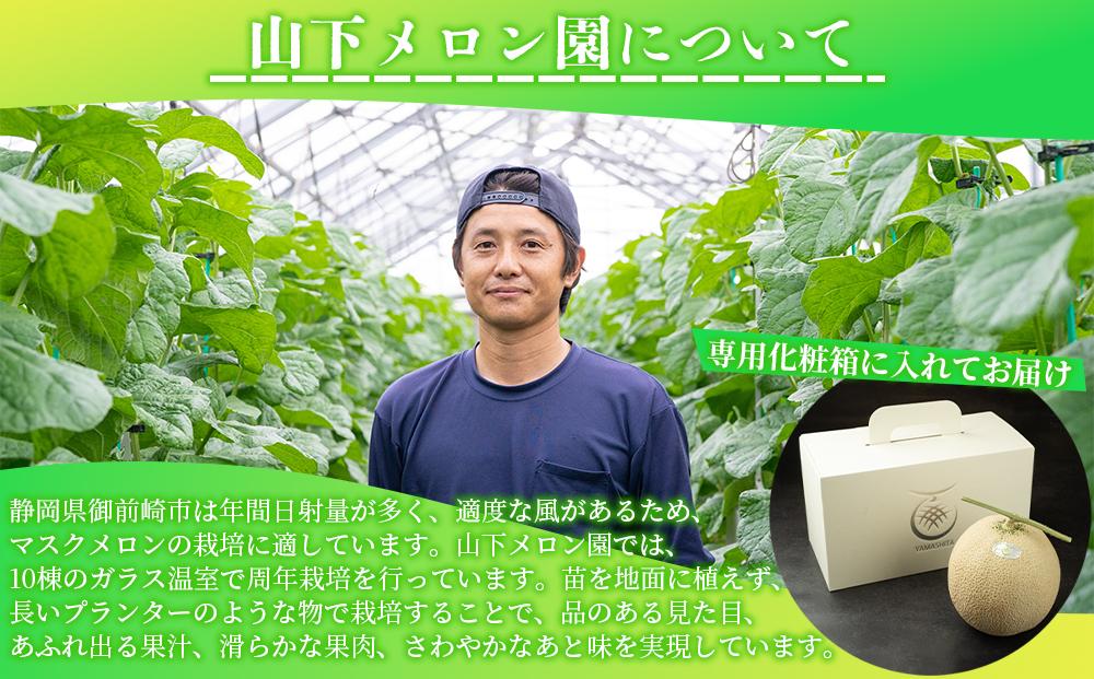 静岡温室メロン 約1.4kg　×　２玉　最高級のマスクメロン　山下メロン園
