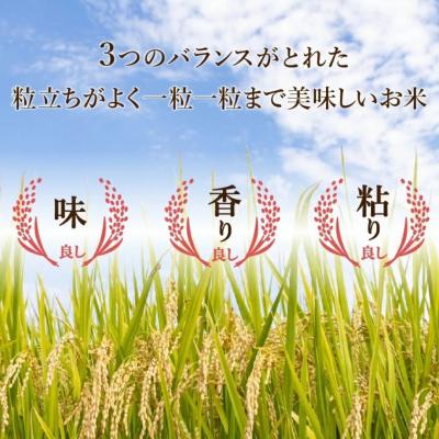 ふるさと納税 小松市 【先行予約】 令和8年産 小松市産 こしひかり 精米 5kg |  | 02