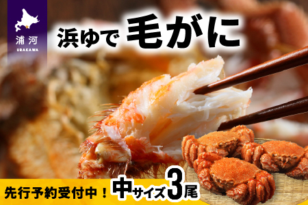 【先行受付開始！】漁協の浜ゆで毛がに 中サイズ３尾セット※日付指定対応不可※[02-174]