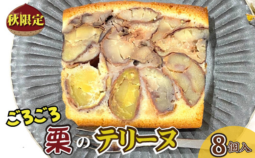 
            【数量限定で復活！】ごろごろ須木栗の贅沢テリーヌ（8個入り） 栗菓子 マロン 栗スイーツ 国産 栗 くり クリ 贅沢 お取り寄せスイーツ ギフト 和スイーツ人気 スイーツ ギフト 贈答用 数量限定
          