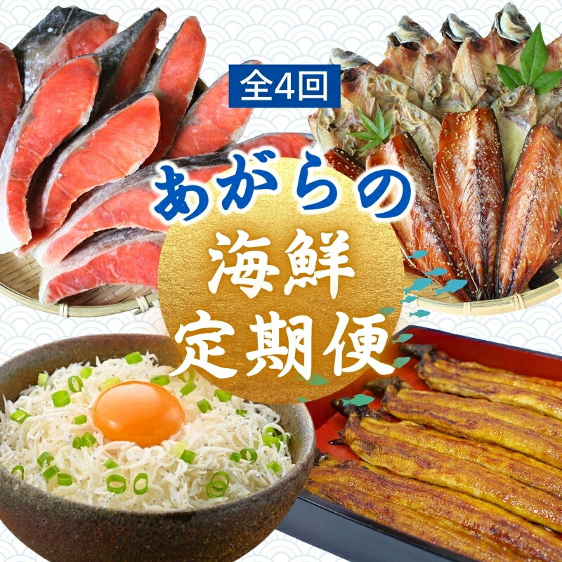 【ふるさと納税】 【4カ月定期便】＼新登場／ あがらの海鮮定期便 / 鰻 うなぎ 蒲焼 釜揚げしらす 鮭 さけ しゃけ 干物 ひもの 名産 特産 名物 うな重 しらす丼 おかず おつまみ 魚 魚介 新鮮 海の幸 4回 定期便