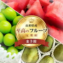 【ふるさと納税】 《2025年先行予約》 山形県 至高のフルーツ！ 山形県旬のフルーツ定期便 全3回 FSY-2013