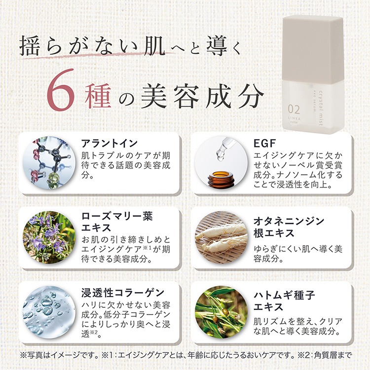 【定期便3ヵ月】LINKA esthé クリスタルミスト エクソセラム 30ml ｜ エクソソーム スキンケア 美容 化粧品 美容液 リンカ エアブラシ美容 ツヤ肌 毛穴 潤い 那須 栃木県 那須町〔