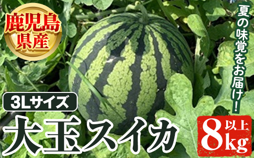 ＜2025年6月以降順次発送予定＞鹿児島県産 大玉スイカ(3Lサイズ・1玉) 国産 果物 スイカ すいか 西瓜 フルーツ スイーツ スムージー ジュース【松永青果】a-12-310