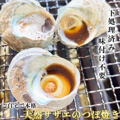 ふるさと納税 南知多町 純国産【味付き】 温めるだけで本格 サザエ つぼ焼き 岬だより |  | 01