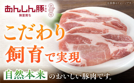 【3回定期便】《金賞受賞》 塩豚ロース 900g 計2.7kg 豚肉 小分け 薄切り ロース 白川町 / 藤井ファーム[AWAF054]