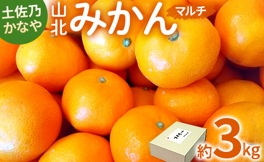 【2026年11月より順次配送】みかん 3kg 土佐乃かなや マルチ 山北みかん be-0108 約3kg