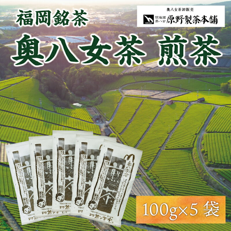 【ふるさと納税】八女茶 煎茶 5袋セット(100g×5袋) [a9347] 有限会社原野製茶本舗 【返礼品】添田町 ふるさと納税