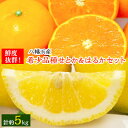 【ふるさと納税】小林果園のせとか&はるかセット(各約2.5kg入)【C24-23】【1124429】