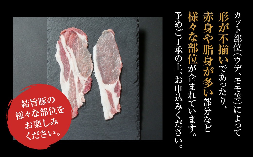 結旨豚 切落とし 500g 冷凍真空パック | 肉 お肉 豚肉 国産 切り落とし 切落し 薄切り 訳あり 白川郷 岐阜県 白川村 ブランド豚 人気 おすすめ ギフト 飛騨高山ミート 6000円 [MS