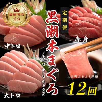 ふるさと納税 大月町 訳あり 不定貫 国産 黒潮本まぐろ 大トロ・中トロ・赤身 定期便 300g×12回