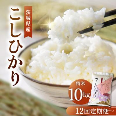 ふるさと納税 かすみがうら市 【毎月定期便】コシヒカリ 精米 10kg こしひかり全12回