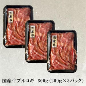 牛肉 切り落とし スライス (プルコギ味) 赤身 国産牛 600g