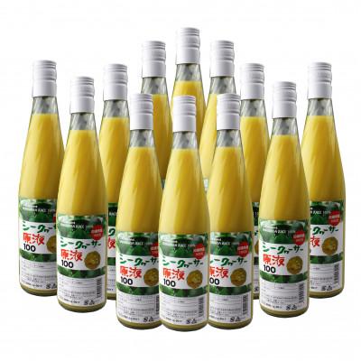 ふるさと納税 名護市 沖縄シークヮーサー原液　1ケース　(500ml×12本)