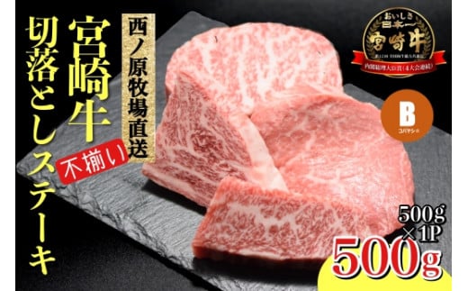 
【生産者まかない用特別提供品】特別提供・宮崎和牛不揃いカットステーキ 500ｇ（国産 牛肉 国産牛 和牛 黒毛和牛 赤身 不揃い ステーキ 焼肉）
