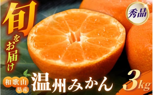[和歌山県産] 旬をお届け！ 季節の「 温州 みかん 」 3kg 秀品 (極早生・早生・中生・晩稲)【M~2Lサイズおまかせ】【2025年10月中旬～2026年2月下旬までに順次発送】＜味好農園＞/ みかん 蜜柑 柑橘 フルーツ 果物 極早生 早生 中生 晩稲 【agy014A】