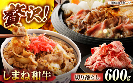 しまね和牛切り落とし 600g 島根県松江市/株式会社さんれいフーズ[ALFR007]