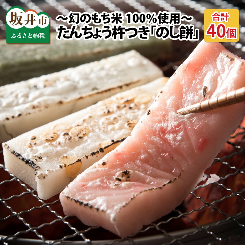 【ふるさと納税】 たんちょう杵つき「のし餅」 計40個 特別栽培もち米使用！ 〜幻のもち米100％使用〜 【つきたて モチモチ 添加物・保存料不使用 焼いてそのままでも おやつに 餅 もち おもち お餅 丸もち】