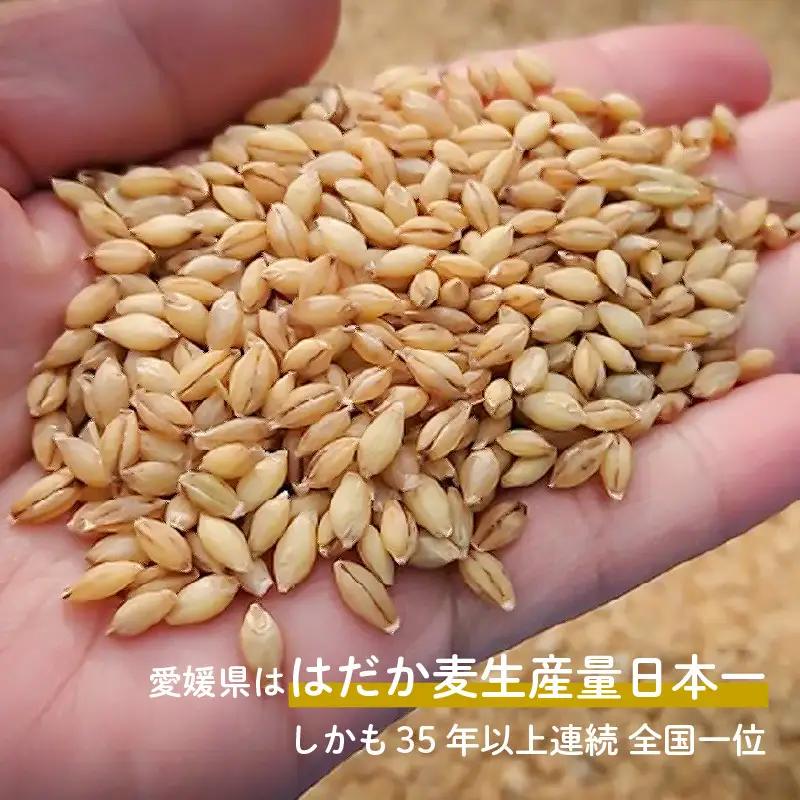 はだか麦オルジュヌミール ホワイト 1kg 愛媛県産 オートミール のように加工 グラノーラ【NL0042】