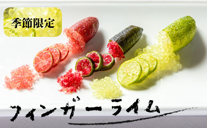 【先行予約】フィンガーライム 50g【梛ファーム】 [JEJ001] ライム フルーツ 果物 新鮮 17000 17000円