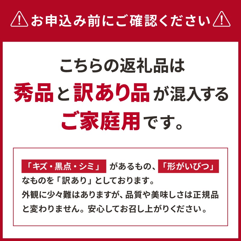 【2027年発送 先行予約品】