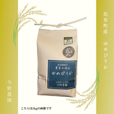 ふるさと納税 比布町 令和7年産 今野農園 ゆめぴりか 玄米10kg【ピリカ(株)】 |  | 01