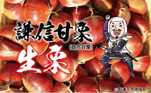 
                  謙信甘栗の氷蔵熟成栗 2kg(1kg×2)【氷蔵熟成栗謙信甘栗】 新潟 新潟県産
                