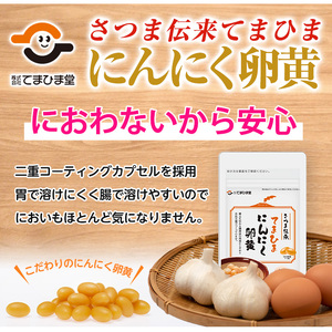 No.1278-B ＜定期便・全6回(隔月)＞てまひま にんにく卵黄(1袋 62粒入・2袋×6回) 鹿児島 日置市 ニンニク 健康食品 栄養 元気 有精卵 カプセル 安全安心 選べる 定期便 頒布会 