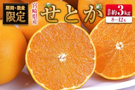 ◇宮崎県産 せとか 約3kg（8～12玉入）