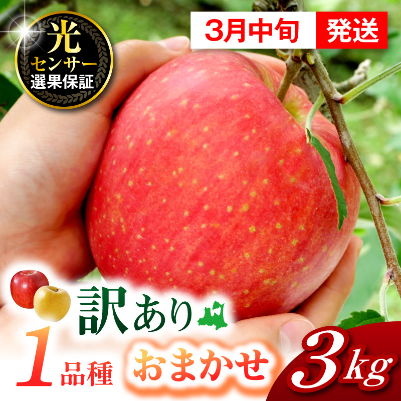 【2027年3月中旬発送】訳ありりんご約3kg おまかせ1品種 青森県五所川原市