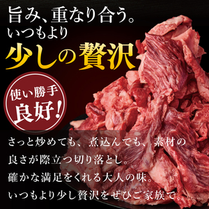 常陸牛切り落とし 500g（NW-5）