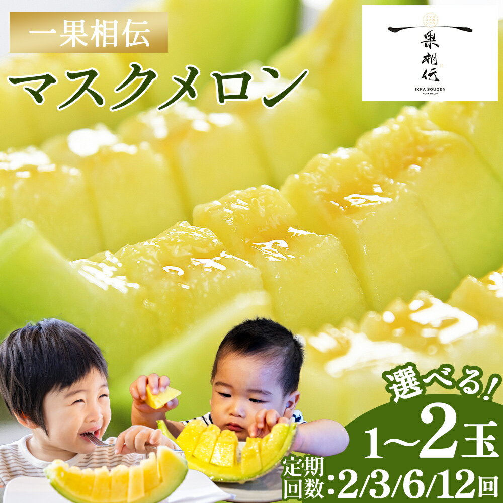【ふるさと納税】【期間限定】一果相伝 マスクメロン 1玉入り/2玉入り 2回/3回/6回/12回 - 選べる 個数 定期便 送料無料 めろん 青肉 果物 くだもの フルーツ 贈答用 贈答品 贈り物 ギフト お礼 御礼 感謝 お祝い 御祝い 産地直送 新鮮 篤農 高知県 香南市【常温】